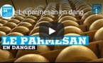 Le parmesan en danger en ITALIE