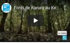 le Journal de l'Afrique
