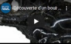 Découverte d'un bout de cerveau datant de... 2000 ans