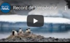 Record de température en Antarctique : plus de 20° enregistrés
