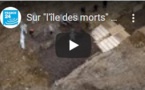 Sur "l'île des morts" à New York, on enterre les victimes du coronavirus non réclamées