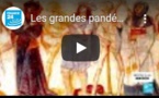 Les grandes pandémies de l'histoire : la "peste noire" qui a ravagé l'Europe au Moyen-Âge