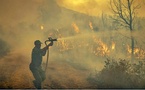 L’ANEF appelle à la vigilance face au risque d'incendies dans plusieurs régions du Royaume