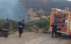 ANEF: Tous les incendies enregistrés ont été maîtrisés