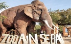 Le parc zoologique d’Aïn Sebaâ rouvre ses portes après un vaste réaménagement