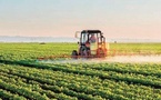 Des conditions climatiques exceptionnelles qui annoncent une meilleure campagne agricole