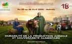 Meknès : Le 18e SIAM sous le signe de la durabilité de la production animale et de la souveraineté alimentaire