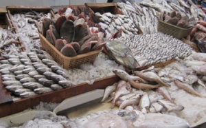Les débarquements de la pêche côtière et artisanale se chiffrent à près de 4 MMDH