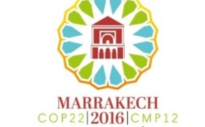 Mobilisation des financements pour que la COP 22 soit celle de l'action