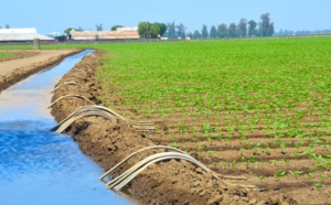 La surface agricole utile au niveau national s’élève à 8,7 millions d’hectares