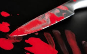 Les hommes sont-ils violents par nature ?
