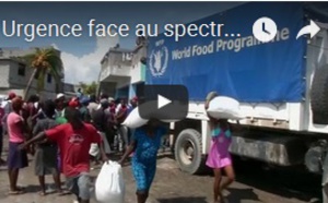Urgence face au spectre de la famine et du choléra en Haïti