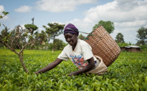 Le CAM s’investit dans le financement des petits agriculteurs subsahariens