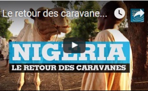 Le retour des caravanes de chameaux au Nigeria