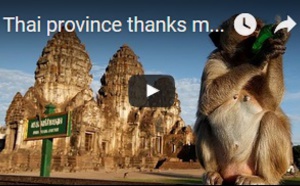 La province thaïlandaise remercie les singes avec un buffet de fruits annuel