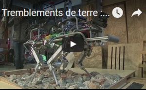 Tremblements de terre : des robots chiens à l'étude