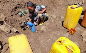 Les ressources en eau pourraient se raréfier d'ici 2050