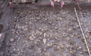 Un champ de patates datant de 3.800 ans découvert au Canada