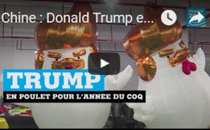 Chine : Donald Trump en poulet pour l'année du coq