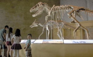 La Mongolie veut récupérer ses dinosaures pillés