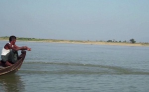 En Birmanie, les dauphins de l'Irrawaddy menacés d'extinction