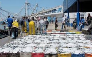Hausse des débarquements de la pêche côtière et artisanale en 2016
