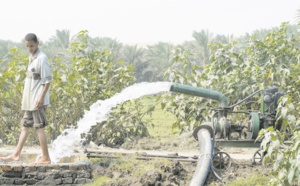 Les eaux usées, une alternative contre les pénuries d'eau dans le secteur agricole