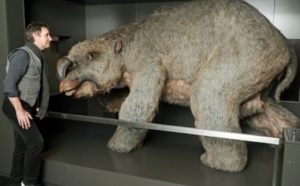 L'extinction d'animaux géants en Australie est due à l'homme