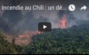 Incendie au Chili : un désastre forestier