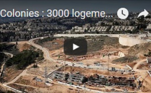 Colonies : 3000 logements de plus en Cisjordanie occupée