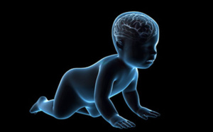 Une croissance rapide du cerveau des bébés annonciatrice d'autisme