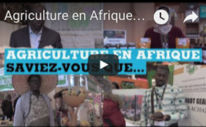Agriculture en Afrique : saviez-vous que... la graine de coton ne sert pas qu'à faire du coton ?