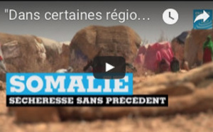 SOMALIE - Sécheresse meurtrière : "Dans certaines régions, il n'a pas plu depuis 3 ans"