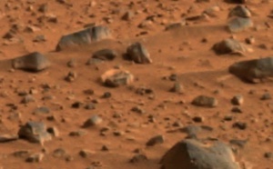 La pomme de terre pourrait pousser sur Mars
