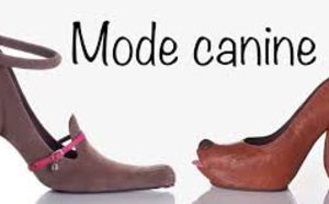 Insolite : Mode canine