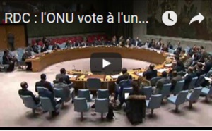 RDC : l'ONU vote à l'unanimité la réduction des effectifs de la Monusco