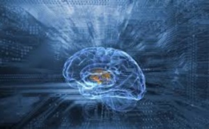 Le cerveau des super-seniors reste plus jeune