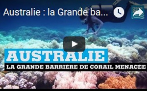 Australie : la Grande barrière de corail en danger