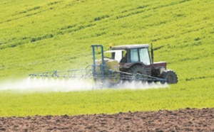 Bonnes perspectives pour la campagne agricole dans l’Oriental