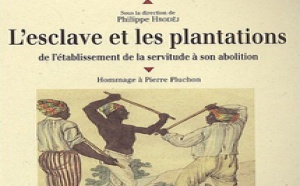 Le dernier ouvrage de Philippe Hrodej «L'esclave et les plantations».