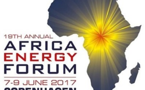 L'African Energy Forum en juin à Copenhague