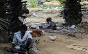 Le chef des Tigres tamouls encerclé : 6.500 Sri-lankais tués dans les combats