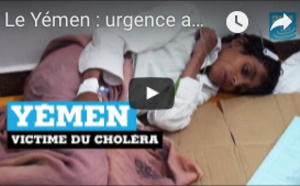 Le Yémen : urgence absolue pour les populations, victimes de la guerre et du choléra