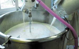 Le secteur laitier  marocain se porte bien