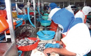 Traitement et congélation des produits de la mer : Une société de Dakhla primée à Genève