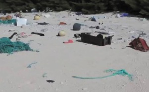Une île du Pacifique a la plus forte densité de débris plastiques