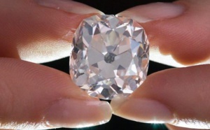 Insolite : Bijou fantaisie