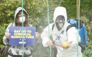 Les opposants au glyphosate revigorés par une étude scientifique