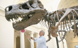 Le T.Rex n'était pas un dinosaure à plumes