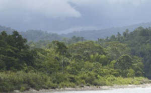 Les projets de barrages sur l'Amazone dévasteraient l'environnement